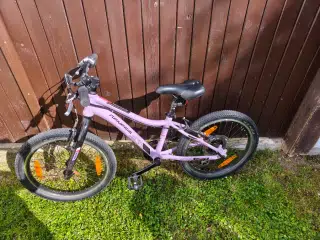 Horské kolo Genesis evolution 20