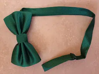 Motýlek