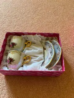 Sada dvou porcelánových šálků s podšálky a motivem růží